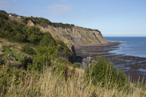 Gorgeous cottages robin hoods bay 18 sm.jpg